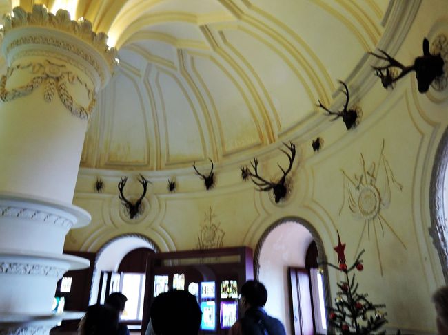 壁には鹿の頭がいっぱい。<br />