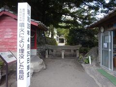 時計回りに走っていくと黒神埋没鳥居がある。ここは神社の境内だが、鳥居が火山灰でほとんど埋まっている。先にはこじんまりした本殿もある。
桜島の噴火の音が絶えず響いている。