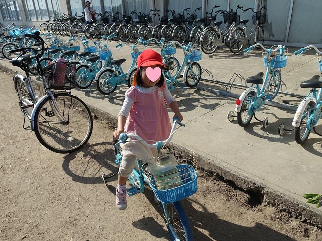 多くの島 自転車で行くには