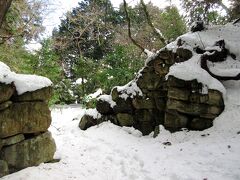 帰りのルートは観音正寺から観音寺城跡、桑実寺を経由して安土駅まで行くのですが、この道が完全に雪で覆われていて、歩こうとすると足がはまる状態でした。