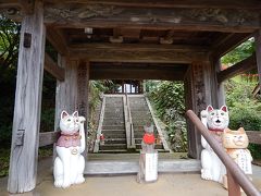 雲林寺
萩から少し離れたむつみという場所にある小さなお寺。
猫寺として参拝者、というより観光客を集める。