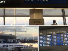 ANA701便で札幌へ。定刻どおりに出発。
スターウォーズジェットが見れてテンションUP!