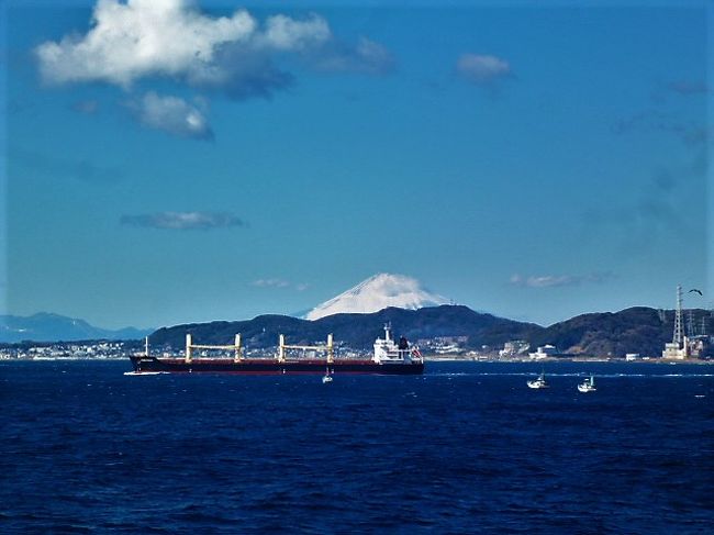 【初版】東京湾の釣り場　富津〜東京港〜久里浜/ひかりのくに 東京汽船 タグボート[Advectionfog]