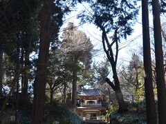 浄智寺

東慶寺から南へすぐの所。
道路からすぐだが、山深い雰囲気のある参道を上がって行く。