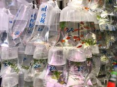 おーーーーー
まさかのビニール売り（笑）
これ魚大丈夫なんかな。