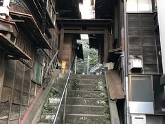 菊坂通りを少し外れた路地の突き当たりに、古民家に挟まれ階段が上に伸びている。このあたりに樋口一葉がかつて住んでいたとのこと。
石畳や路地は当時のままらしい。