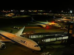 出発便が朝早いので羽田空港、会社終り一度戻ってから前泊に・・
夜になるとリムジンバス・・需要のない国内線へ行かないので国際線ターミナルへ
・・送迎デッキから夜の空港見学へ