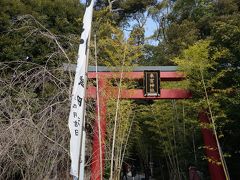 ＪＲ伊東線、来宮駅から徒歩3分のところにある来宮神社です。近くの熱海梅園の梅まつりが見ごろを迎えていることもあり、１０時頃というのに多数の参拝客がいました。