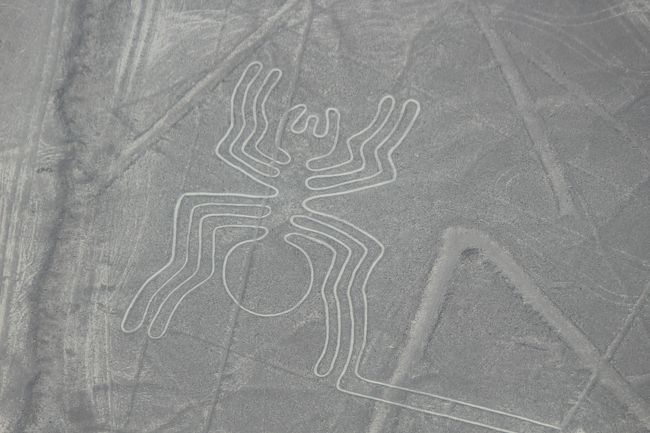 ナスカの地上絵 EOS版』ナスカ(ペルー)の旅行記・ブログ by Masa