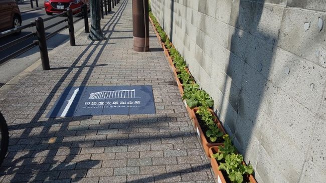 今年の司馬遼資料館への道筋ではこの無残なプランラーが並んでいます。花か蕾を切っただけなら器物損壊、食べたらなら窃盗罪とか。刑法の定義も難しいですな。