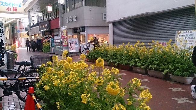 これも昨年ですが、地域の町おこしとしてボランティアが育成されています。小阪駅前商店街です。