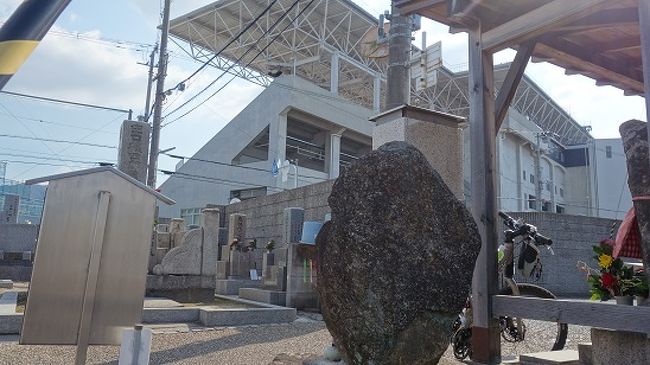 ワールドカップはこういう状態で観戦なさるのでしょうか。<br /><br /> ラグビー観戦<br /> 秋深き　庭では玉を　蹴る人ぞ　＜偐芭蕉＞