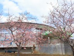 神奈川花見山の様子を確かめに アグリパーク嵯峨山苑 ちょっとだけまつだ桜まつり 秦野 松田 足柄 神奈川県 の旅行記 ブログ By ひろさん フォートラベル 神奈川花見山の様子を確かめに アグリパーク嵯峨山苑 ちょっとだけまつだ桜まつり 秦野 松田 足柄 神奈川県 の旅行記 ブログ By ひろさん フォートラベル