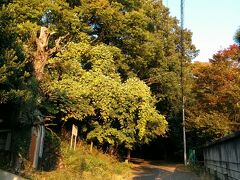 6:37、水道山公園に。