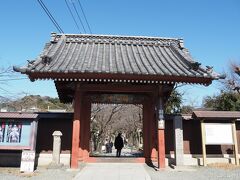 称名寺　赤門

2月7日です。

京急金沢文庫駅から徒歩15分ほど。
赤門を潜ると参道は桜並木です。