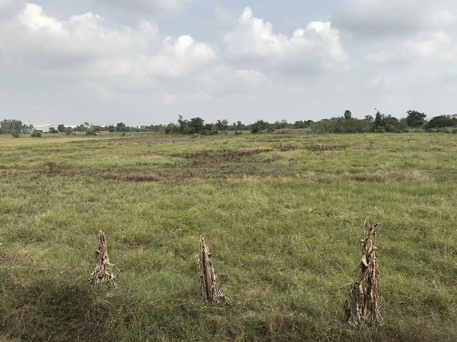 ホテルのお隣はこんな感じ。放牧場です・・・