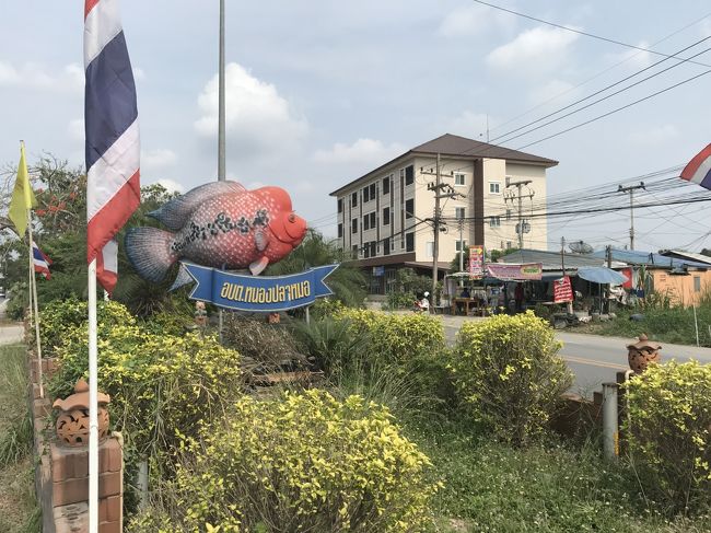 小さな街です。