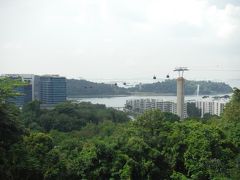 迷った時間も含めて１時間でマラントレイルを抜けマウントフェーバー駅に着きました。ロープウェイと再会です。