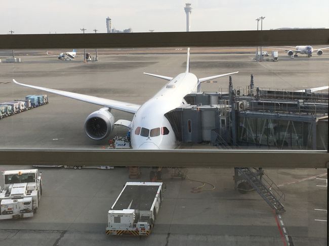 今日お世話になる飛行機です。B787-9 綺麗で快適でした。トイレにウォシュレットまで着いています。