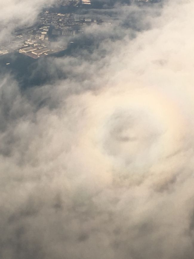 雲の上に自分の飛行機の影が映り、その周りに虹の輪が見えました。