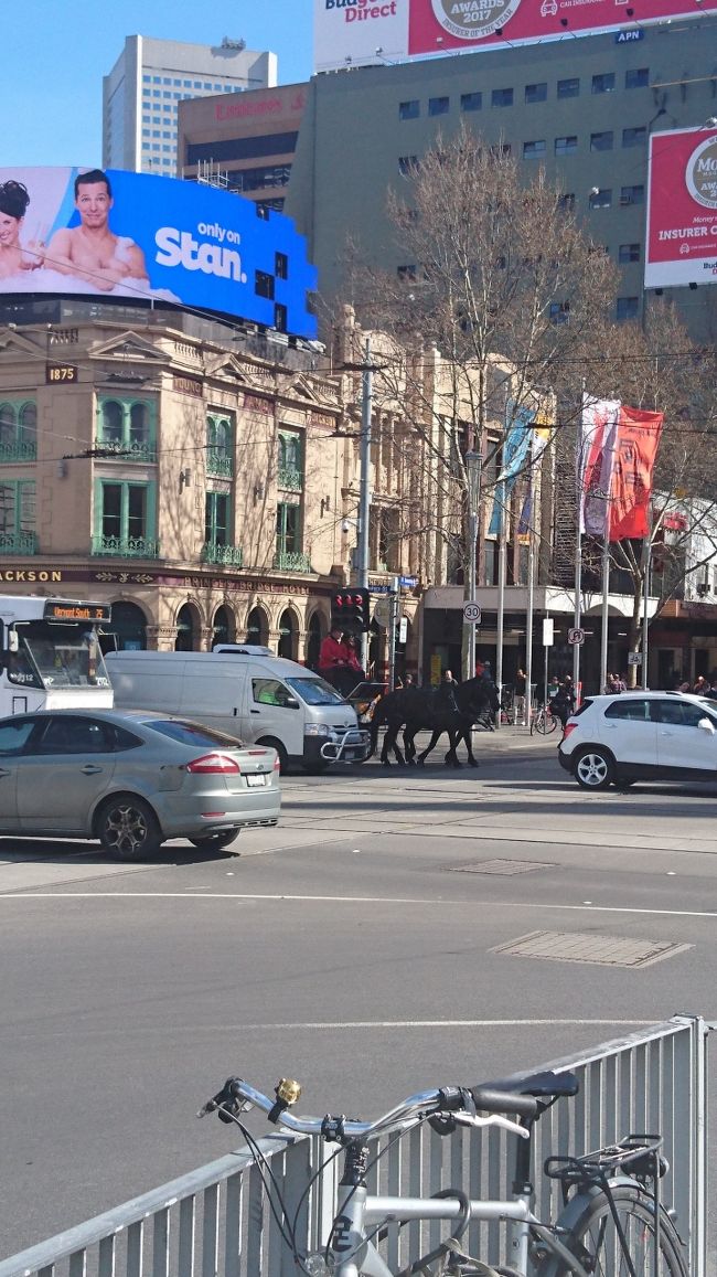いったんトラムを降りると馬車発見！<br />現代な自動車群と中世的な馬車が、<br />交通手段として共存している街って、<br />なんだか素敵ですね。