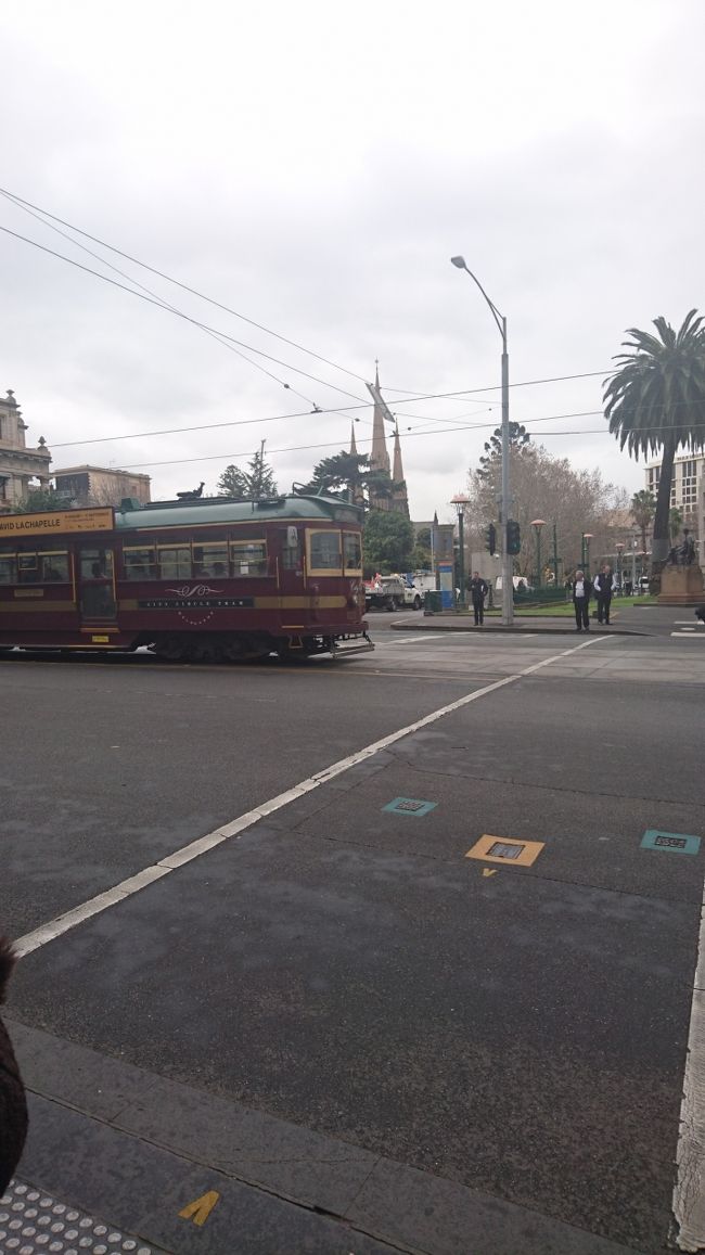 慌てて会計を済ませ、一旦ホテルに。<br />夫と息子はお昼寝へ、<br />私と娘は街歩き再開！<br />娘はパパにデジカメを託され、<br />すごく張り切って出発です。