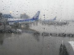 福岡空港に着きました。
あぁ、やっぱり、私の中の雨男、お目覚めでした…（涙）