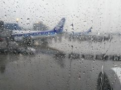 福岡空港に着きました。
あぁ、やっぱり、私の中の雨男、お目覚めでした…（涙）