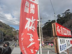 来宮駅から10分程歩いて､ようやく梅園に到着しました｡
熱海梅園では梅まつりが行われています｡