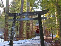氷瀑トレッキングの〆は滝尾神社への参拝。
この日の危機的な事故を二つも免れたことを神様に感謝をする。

滝尾神社の御神木は3本の杉の木。
拝殿でお参りをしたあとは奥の院の御神木への感謝も忘れずに。

