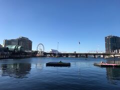 サーキュラー・キー駅からタウンホール駅まで電車で帰り、歩いてダーリングハーバーに向かいました