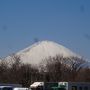 ☆極寒の2月、暖かさを求めて静岡へ☆天下泰平の湯と駿府城跡　No1