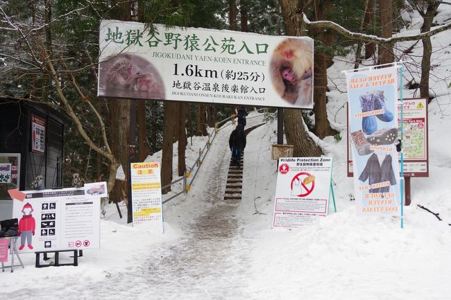 雪に覆われた地獄谷野猿公苑。猿の何倍もの観光客が押し寄せます