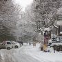 雪に覆われた地獄谷野猿公苑。猿の何倍もの観光客が押し寄せます。