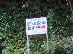沖縄県の最高峰は石垣島にある於茂登岳５２５・５ｍです。於茂登岳は新日本１００名山にも選ばれています。山の好きな私たちは於茂登岳に登りたかったのですが、この日は小雨なので、下見だけにします。
