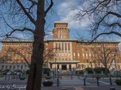 　ここに立つと、正面にど～んと神奈川県庁本庁舎のキングが聳え、両脇にかろうじてクィーン（右側）、左にジャック（左側）を従えている。クィーンとジャックはかなり離れて見えるので、一枚の写真に収めるには広角レンズが必要になる。
　平日ならば、県庁内部の見学ができるのだが、恒例の新年会は休日なので、なかなか県庁の見学をするチャンスがない。アールデコ風の玄関の装飾、宝相華が飾られたホール、竣工当時のままの 旧貴賓室や 旧議場などの見所があるらしい。屋上の展望台からは横浜港、みなとみらい地区の眺めが楽しめるというが、又の機会にゆずるしかない。