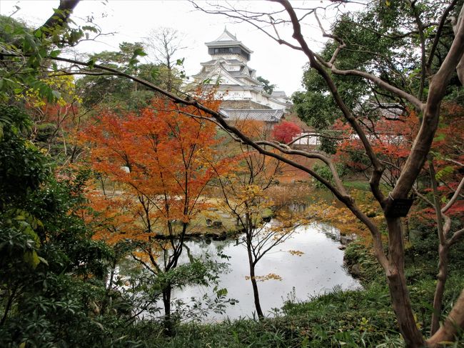 2017年12月 福岡県 小倉 小倉城とその周辺のクリスマスイルミネーション 小倉 北九州市中心部 福岡県 の旅行記 ブログ By イロコさん フォートラベル 2017年12月 福岡県 小倉 小倉城とその周辺のクリスマスイルミネーション 小倉 北九州市中心部 福岡県 の旅行記 ブログ By イロコさん フォートラベル
