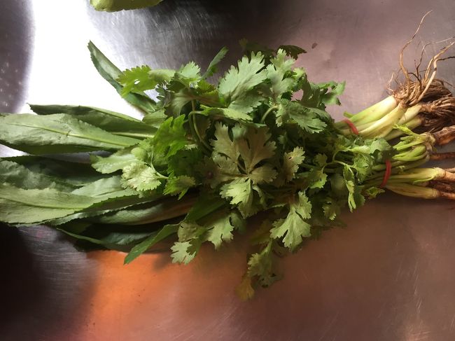 パクチー2種。<br />1つ1つ香りを確認。