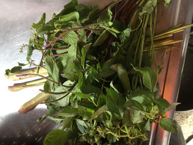 レモングラス、バジル2種。