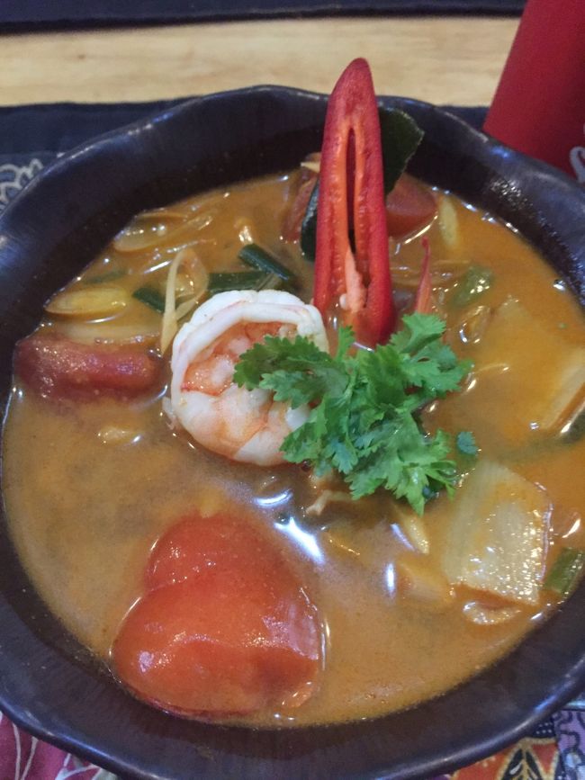 唐辛子とパクチーを飾ってトムヤムクンの完成！