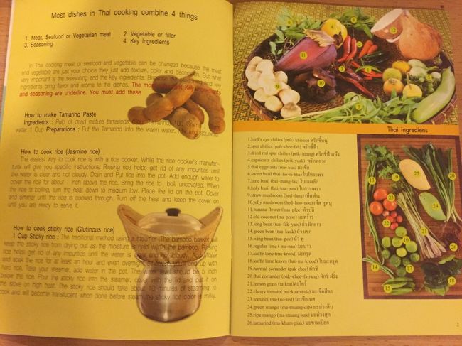 レシピだけでなく食材や調味料の説明も載っているので、家でタイ料理作る時とても役立ちそうです。<br />ココナッツミルクとかグリーンカレーペーストは市販のものを使えばいいけど実際こうやって作るのかってわかって面白い体験ができました。<br />料理教室の費用は900バーツでした。