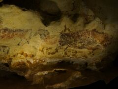 「世界遺産 ラスコー展 ～クロマニョン人が残した洞窟壁画～」（国立科学博物館）
11/1～2017.2/19　11/23訪問
こちらも楽しかった展覧会。ラスコー洞窟は、フランスの西南部ヴェゼール渓谷のモンティニャック村の近郊に位置する洞窟で、地下の空間は全長およそ200ｍ、地表下12～20ｍにあり洞窟内の7つの空間にクロマニヨン人たちが合計で600～850頭もの動物と多くの記号を残しています。ラスコー展では実物大に洞窟壁画を再現し展示されていました。