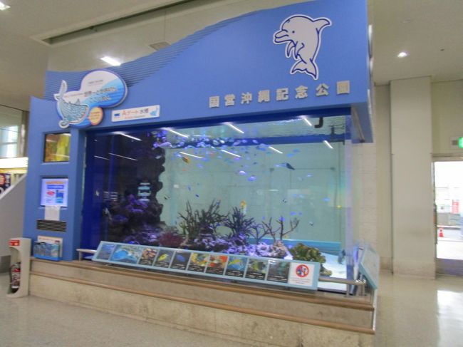 空港ロビーには美ら海水族館の展示もありました。<br /><br />