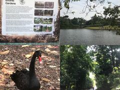 今回のランの目的地はSingapore Botanic Gardens。
2015年9月に訪問以来の再訪問。
森林浴もしながらのラン、やはり良いもんですな(*´-`)