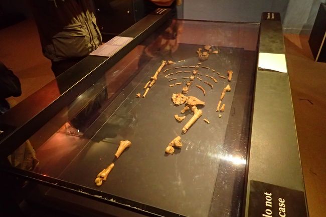 ルーシを足元側から。