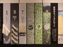 岡谷市は諏訪湖畔の諏訪市や諏訪神社のある下諏訪町に比べて地味な町。 
そこで「シルク（絹）とうなぎのまち」をアピールしていました。 

江戸時代末期から明治時代にかけては日本の輸出は生糸が７割近くを占めていました。 
岡谷市は一介の農民から日本最大の生糸会社を作った片倉家のある町でした。 

「岡谷蚕糸博物館」は製糸工場に隣接した資料館で生糸産業の歴史を紹介しています。 
私はおしゃれとか服とかまったく興味がないので、「絹」のありがたみはあまりよくわからないけど、知り合いの女性でやたら「シルク」が好きな人が何人もいたなあ。 
でも、女性は「虫」とか「蛾（が）」が大嫌いな人が多いのに、「蛾の繭の糸」から作った服が好きって不思議な気がする。 
わたしだったらゴキブリの羽で作られた服はとても着る気にはならないだろうけど。 