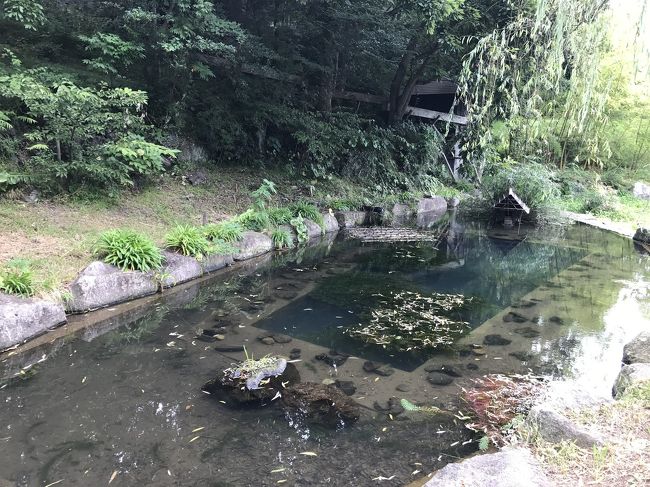 夏休み中のきらの里。<br />けっこう混んでました。<br /><br />帳場の前の池です。<br />紅葉時期はすごく綺麗なんですよ。<br /><br />今回は残念な面が目立ちましたが<br />また、いつか行きたくなるかもです。