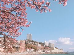 晴れた日曜日
熱海サンビーチにも桜が。
夏は気持ちよさそうだなぁ。
