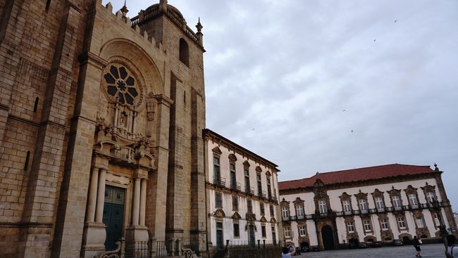 柔らかい色合いになってきました！