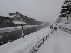 かなりの猛吹雪ですが、運河を歩いてみました。